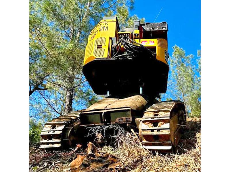 Komatsu #XT460L-3, feller-buncher, FAE mulching head and hot saw, 300 HP @ 2000 RPM Cummins engine, 2017 - Image 6