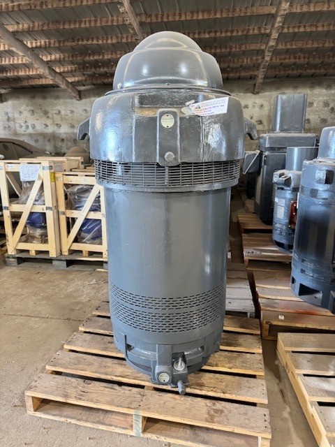 300 HP 1180 RPM U.S. Motors, Frame 5009PH, VHS, vertical hollow shaft, 2300/4160 Volts - Image 2