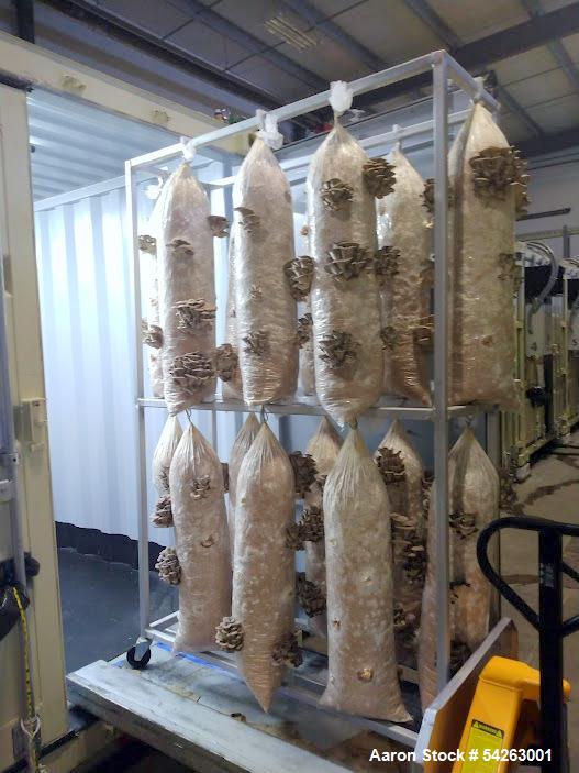 Semi-Automated Mushroom Substrate Processing System, (2) 37 cu.ft Patterson All-Weld mixers, Reimers steam - Image 2