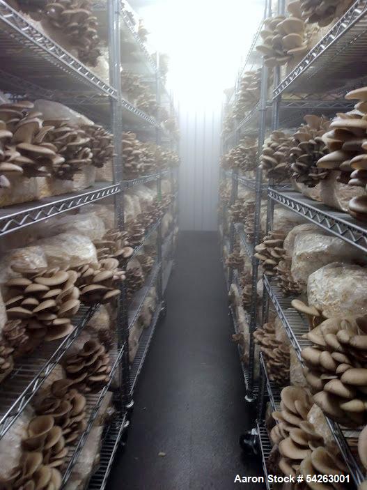 Semi-Automated Mushroom Substrate Processing System, (2) 37 cu.ft Patterson All-Weld mixers, Reimers steam - Image 6