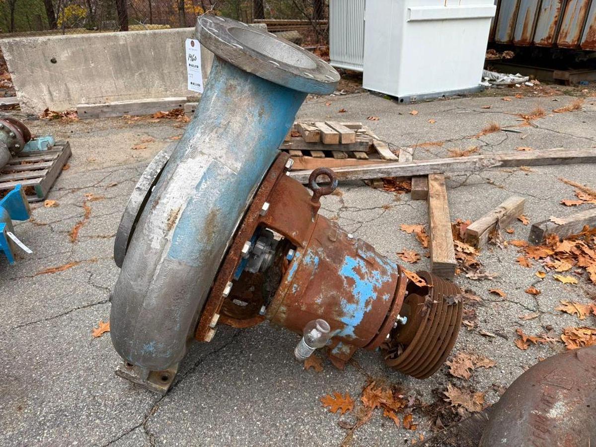 Goulds, Centrifugal Pump, 11x13-20, 316 Stainless Steel - Image 2