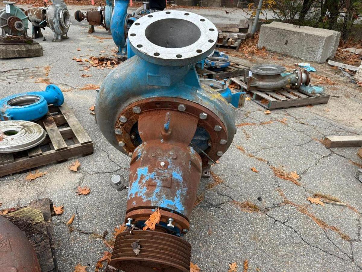 Goulds, Centrifugal Pump, 11x13-20, 316 Stainless Steel - Image 5