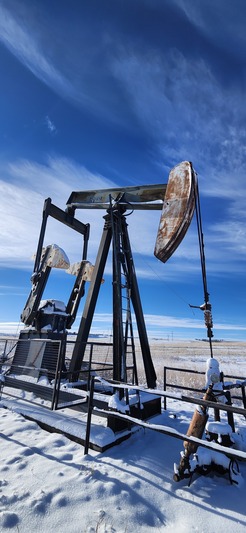 320 LeGrand #320-213-100, Pump Jack - Image 3
