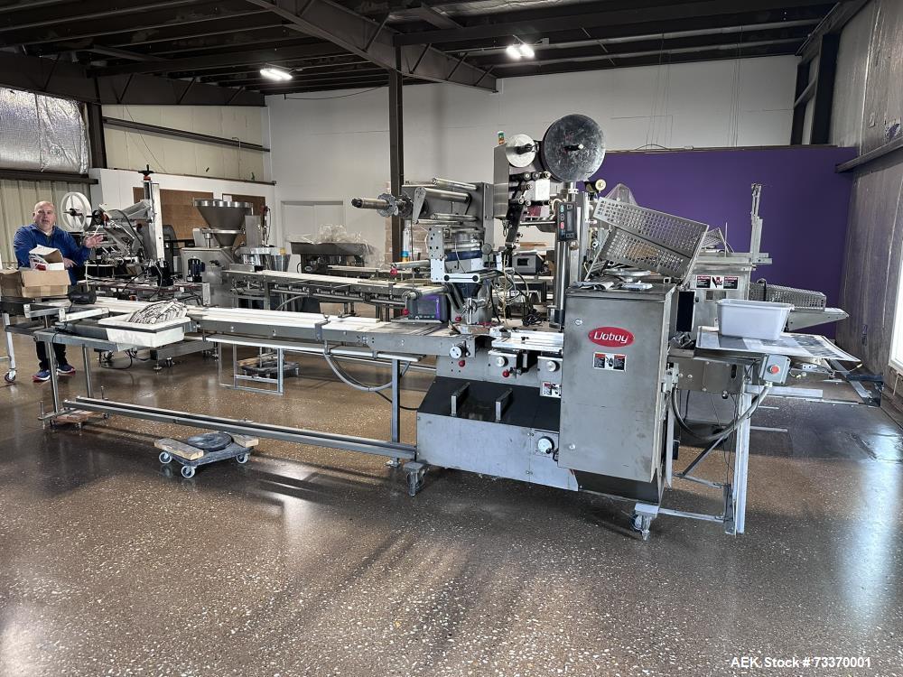 Doboy #Mustang-IV, Horizontal Flow Wrapper, 90 PPM, 18.5" web - Image 1