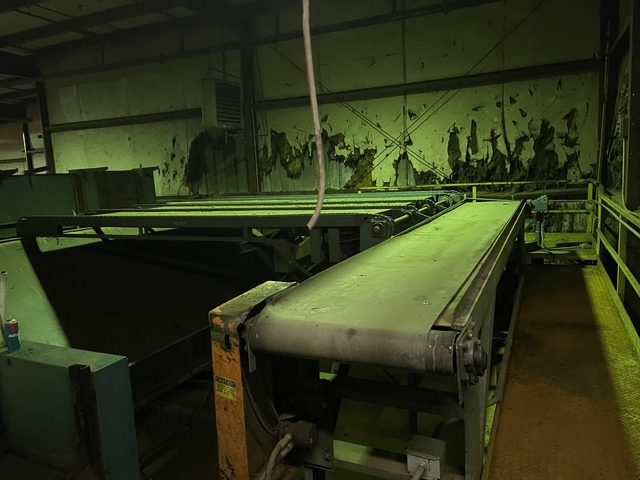 30" W x 20' L Newman Belt Conveyor - Image 2