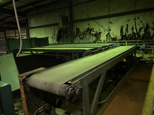 30" W x 20' L Newman Belt Conveyor - Image 3