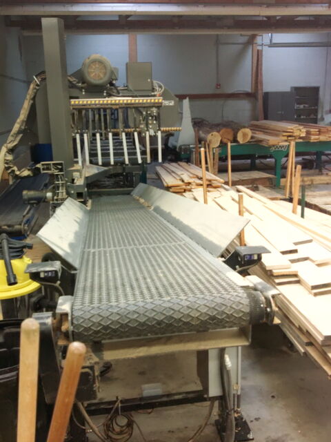Wood-mizer #LT300, sawmill, w/ Twin Blade Edger, log deck, 300 hours, 2006 - Image 7