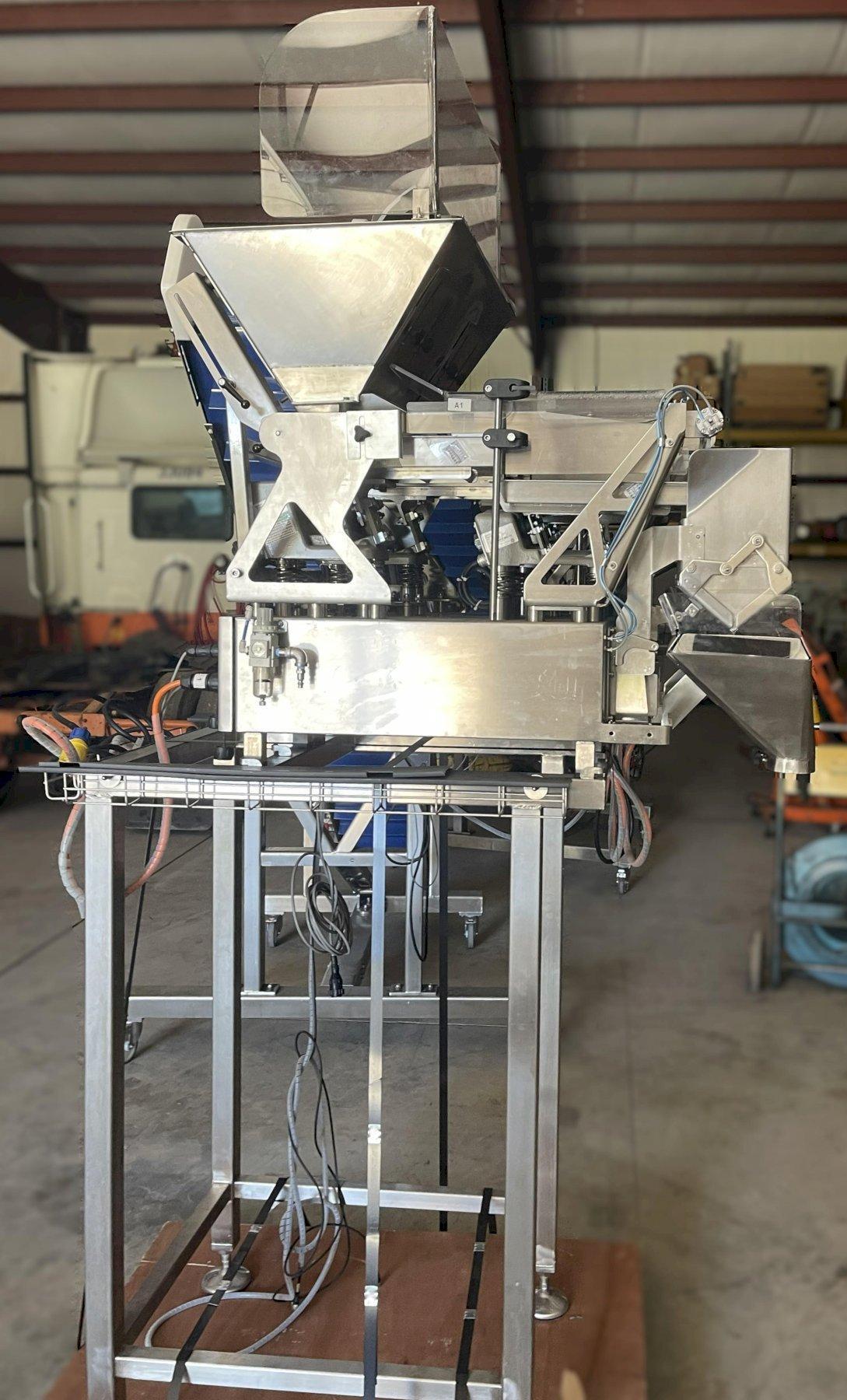 Weighpack, complete packaging line, Zippy Bagger R-L, Primolinear Scale V-5 2L/3P, infeed conveyor, floor - Image 9