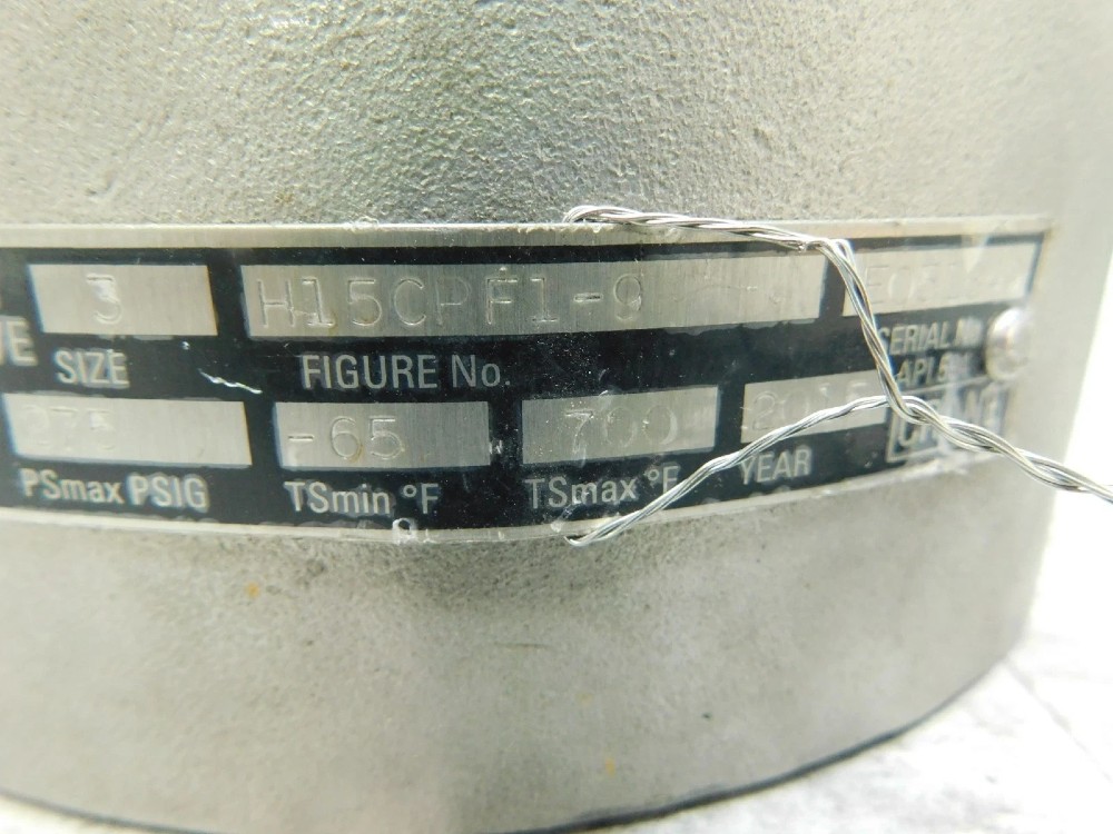 3" Crane #Duo-Chek-II, Check Valve, H15CPF1-9, Stainless, CF8M 316, unused - Image 3