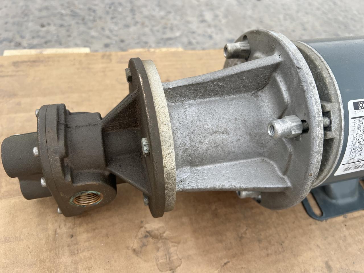 Fuel Transfer Pump, 3/4 HP Marathon Electric motor, 208-460 Volts, 3PH, (2 available) - Image 2