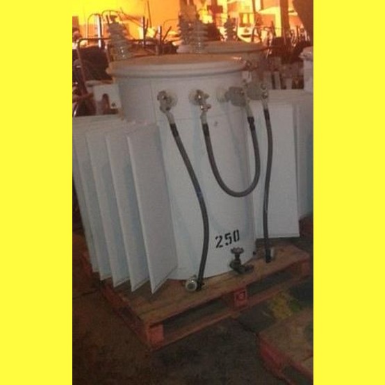 250 KVA 7200/12470Y Pri. 240/480 Sec., Sunbelt, Pole Mount Transformer - Image 1