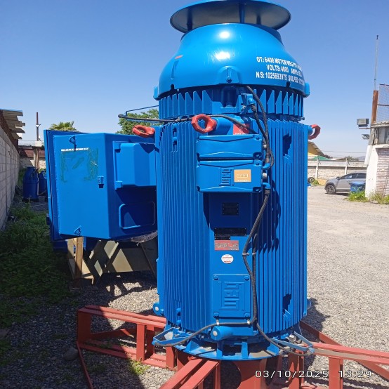422 HP 2980 RPM WEG, Frame 5810/11/12TS, 3 phase, 4000 Volts, Vertical Motor - Image 4