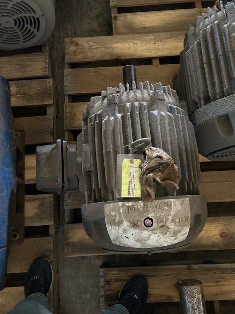 40 HP 1200 RPM Siemens-Allis, Frame 365T, TEFC, 230/460 Volts - Image 5
