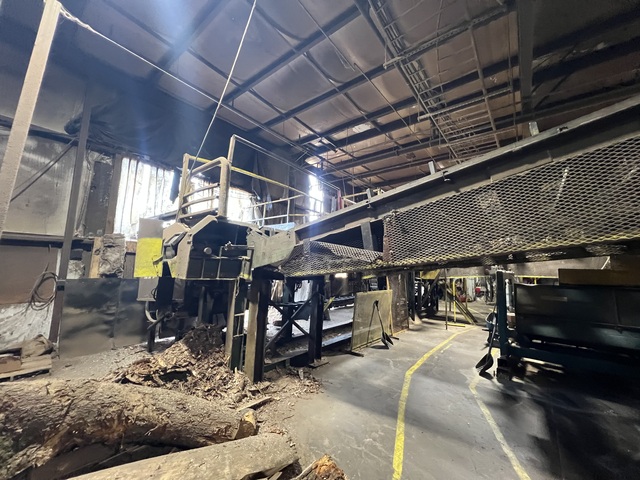 Complete Shaving Mill Operation, w/ Land, Drying & Bagging Line - Image 10