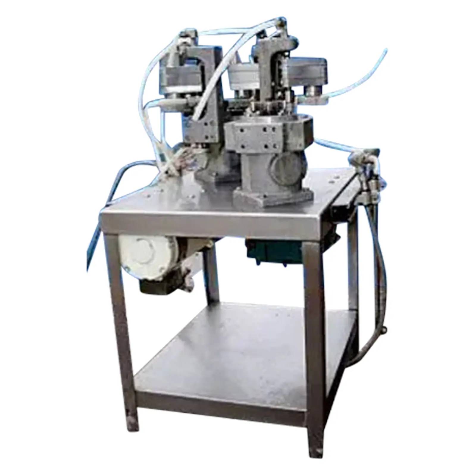 Dodge, dual pump system, 1/2 HP - Image 2