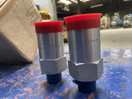 3/4" x 1" Rego #AA3130A250, pressure safety relief valve - Image 3