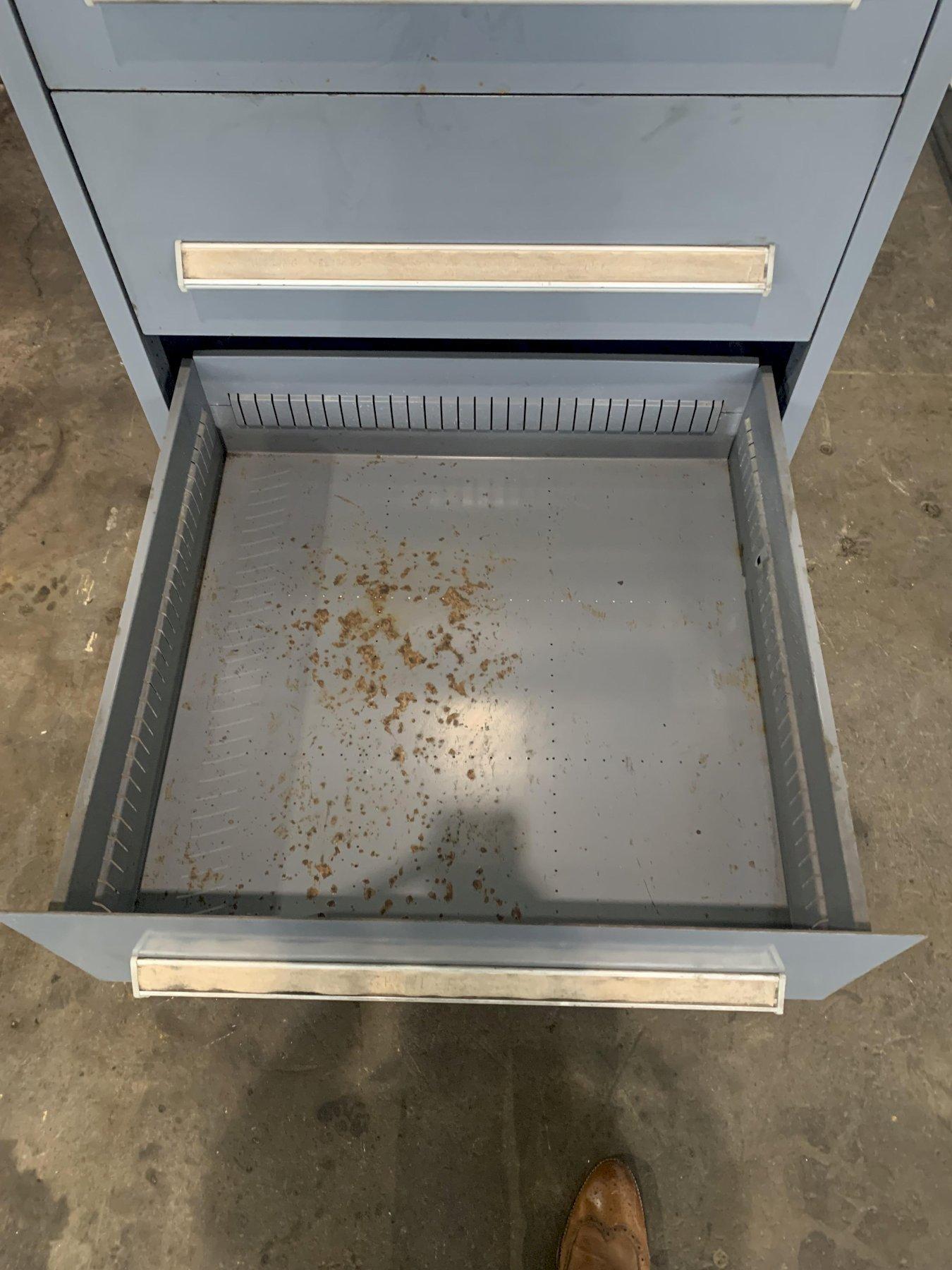 5-Drawer, Stanley Vidmar, storage cabinet - Image 8