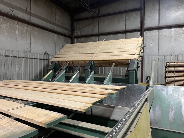 Complete Rough Mill Lumber Processing System, self-centering double-sided planer, Mid-Oregon gang rip saw - Image 7