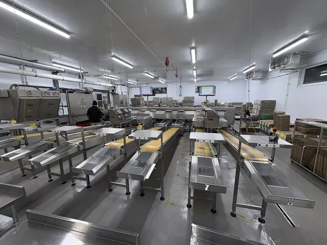 Egg Grader & Packer, Sanovo #Alpha-Grader-100, 100 cases/hour, 6-row roller conveyor infeed, 460 V., 3 Ph. - Image 1