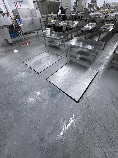 Egg Grader & Packer, Sanovo #Alpha-Grader-100, 100 cases/hour, 6-row roller conveyor infeed, 460 V., 3 Ph. - Image 4