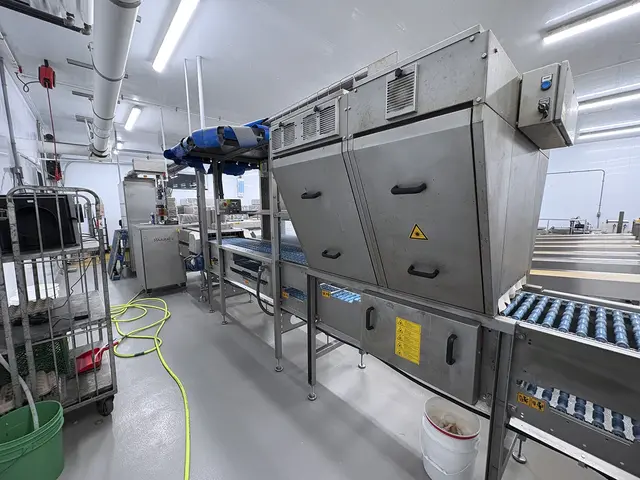 Egg Grader & Packer, Sanovo #Alpha-Grader-100, 100 cases/hour, 6-row roller conveyor infeed, 460 V., 3 Ph. - Image 6