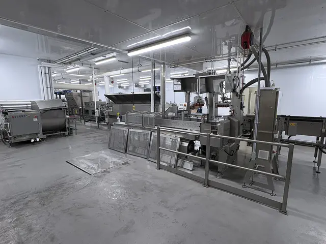 Egg Grader & Packer, Sanovo #Alpha-Grader-100, 100 cases/hour, 6-row roller conveyor infeed, 460 V., 3 Ph. - Image 7