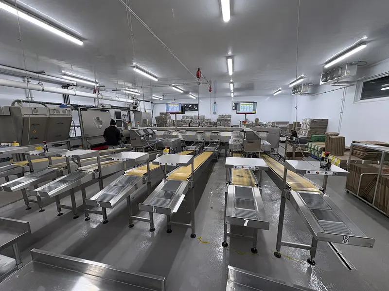 Sanovo #Alpha-Grader-100, egg grading machine, 100 cases/hr, 460 V., 3 Ph., 2017 - Image 1