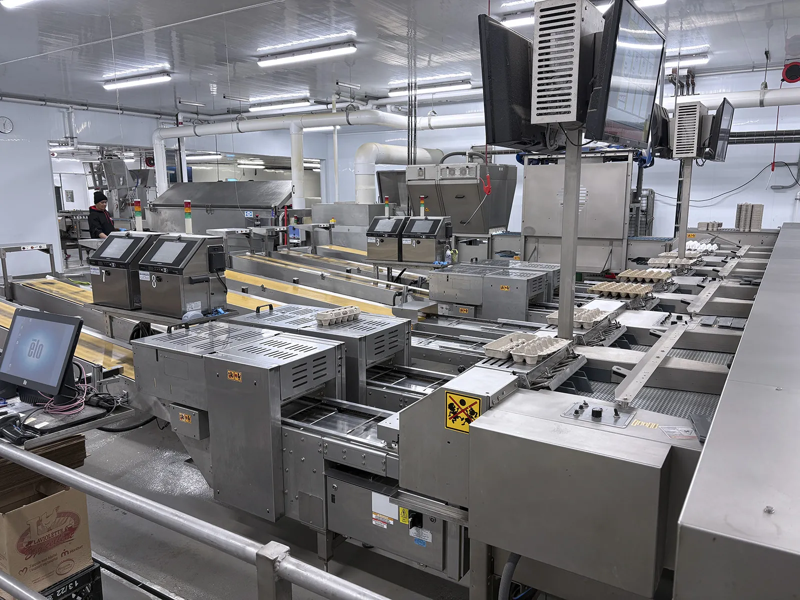 Sanovo #Alpha-Grader-100, egg grading machine, 100 cases/hr, 460 V., 3 Ph., 2017 - Image 2