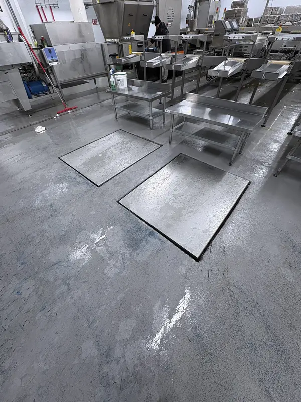 Sanovo #Alpha-Grader-100, egg grading machine, 100 cases/hr, 460 V., 3 Ph., 2017 - Image 4