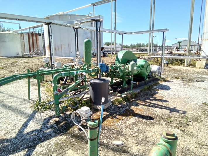 Wheatley, Duplex Pump, Canron motor, 1179 RPM - Image 4