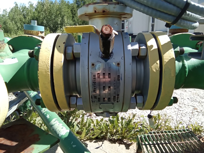Wheatley, Duplex Pump, Canron motor, 1179 RPM - Image 8