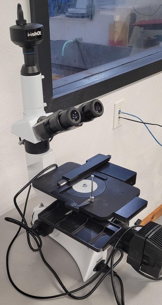 Pace Technologies #IM-3000, Metallurgical Microscope, 8.9" x 7" stage, 1.6" X, 1.6" Y, 12V/50 width halogen - Image 5