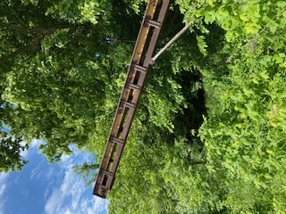 Waste Incline Conveyor, 8' under peeler, adjustable height - Image 2