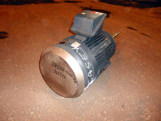 50 HP 1880 RPM Aqua-Aerobic, Frame 365LPZ, TEFC, VSS, vertical solid shaft, vertical solid shaft, 230 Volts - Image 2
