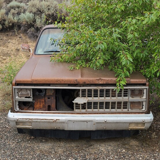 Chevrolet #K10, Custom Deluxe Pickup Truck, 350 V8, 4WD, single cab, 65,634 kms, 6,100 lb. GVWR, 1981 - Image 2