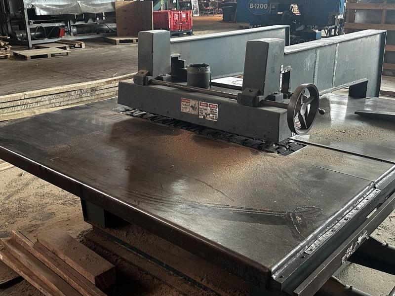 Diehl #SL-52, straight line dip chain rip saw, 15 HP, 3600 RPM, 2" arbor, 18" blade, 4-1/4" thick, 190 FPM - Image 2