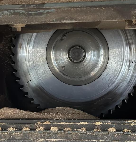 Diehl #SL-52, straight line dip chain rip saw, 15 HP, 3600 RPM, 2" arbor, 18" blade, 4-1/4" thick, 190 FPM - Image 7