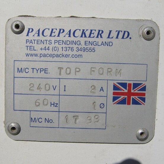 Pacepacker #1733, Top Form Bag Presenter, 172" L x 12" width conveyor, (2) 7.5" width plastic belts, 120" bag - Image 8
