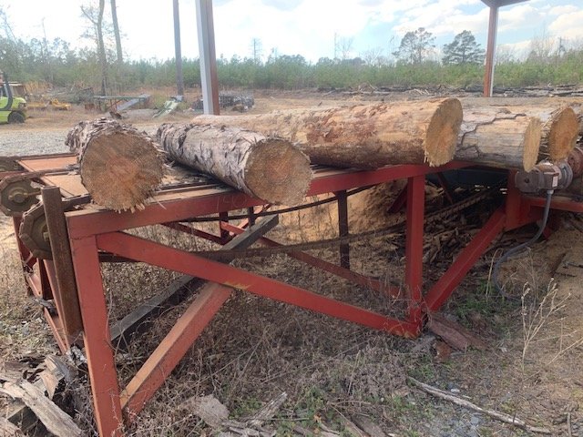 Morgan, Sharp Chain Scragg Mill, 36" blades, 14" diameter capacity, conveyors, 2008 - Image 6