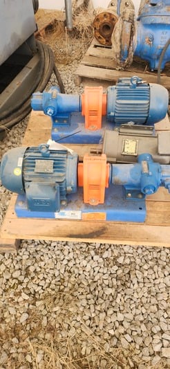 20 GPM, Viking #HJ4195, rotary gear slurry pump, 3 HP, WEG 182/4T motor, 2018, new (2 available) - Image 1