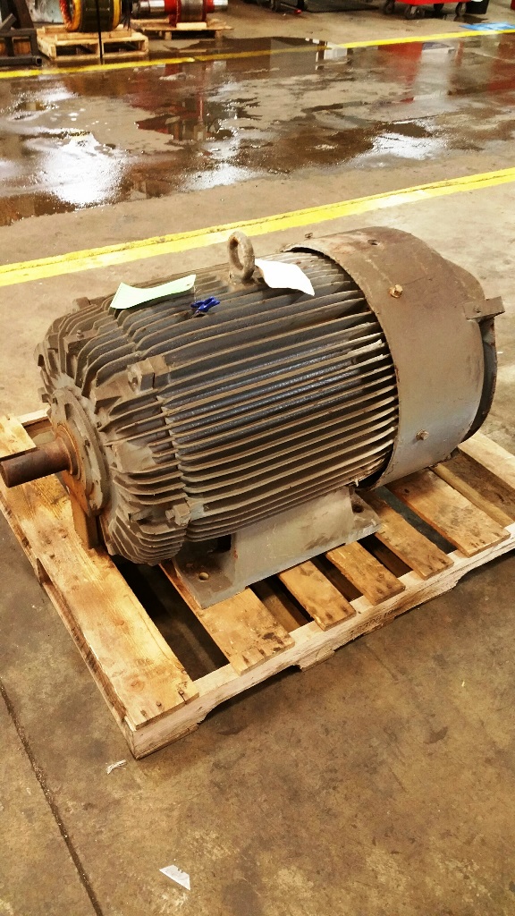 150 HP 1775 RPM Teco, Frame 445T, TEFC, AEFA type, 1.15 service factor, 440 Volts, #C1783 - Image 2