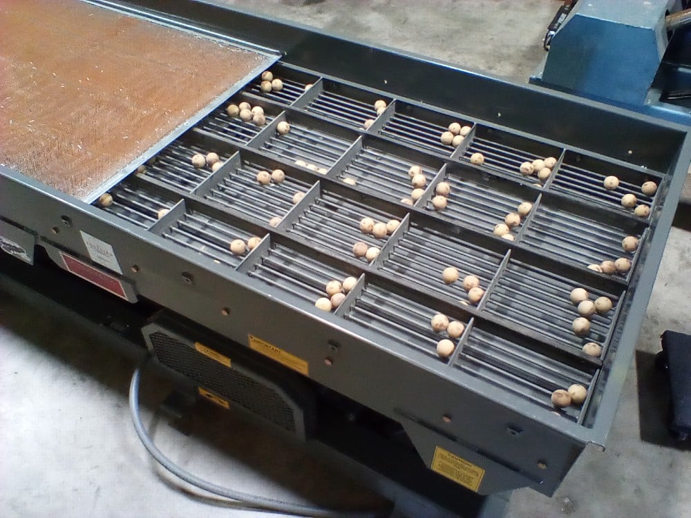 Forsberg Model 36 X 10 X 10 FT Natural Frequency Screening Conveyor, Ball Deck, 2 HP, Fully Reconditioned - Image 4