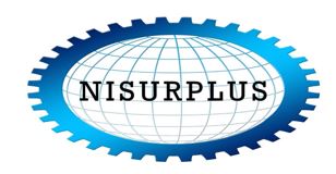 Logo for NISurplus
